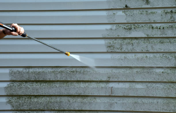 Best Local Pressure Washing Services  in Castroville, TX